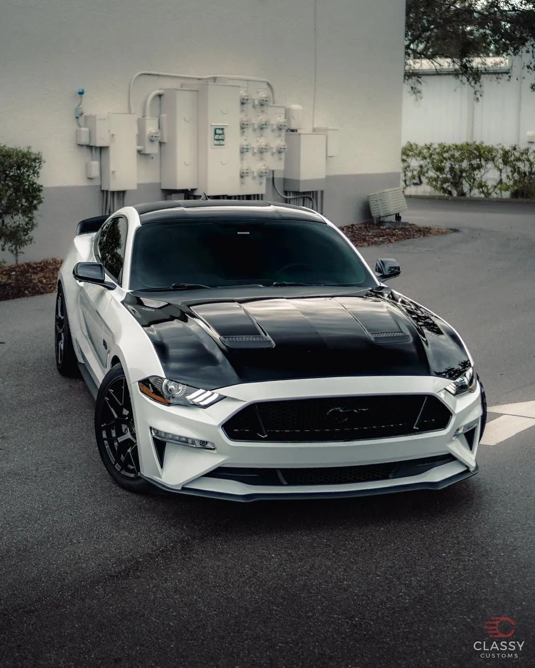 White Ford Mustang with a black wrapped hood