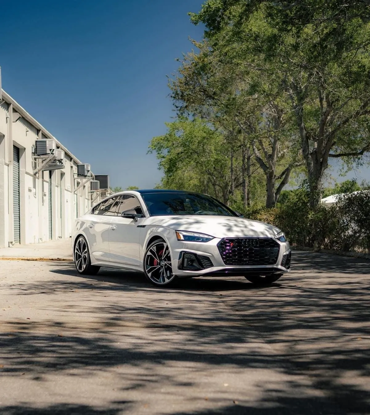 White Audi sedan parked under trees