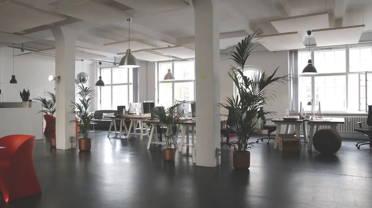 Open office floor lit by a wall of windows