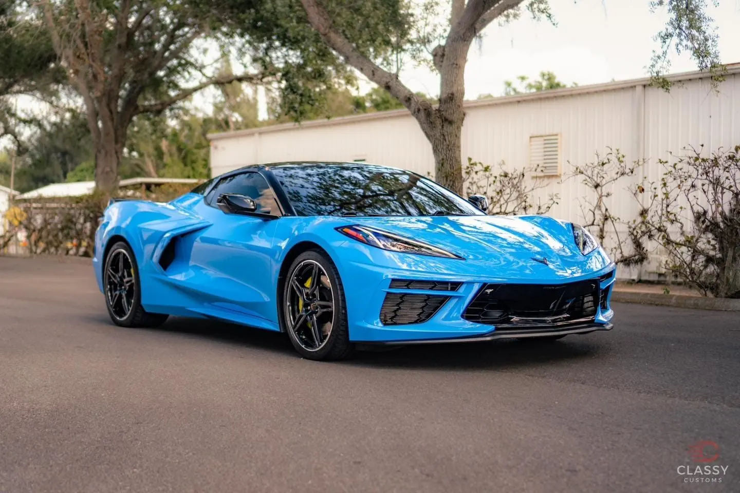 Blue Chevrolet Corvette C8 parked under trees