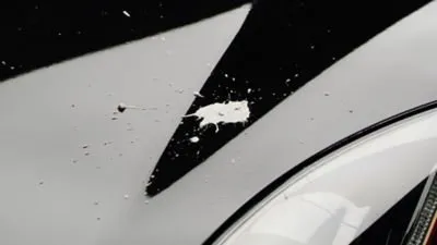Close-up of a white and black painted panel